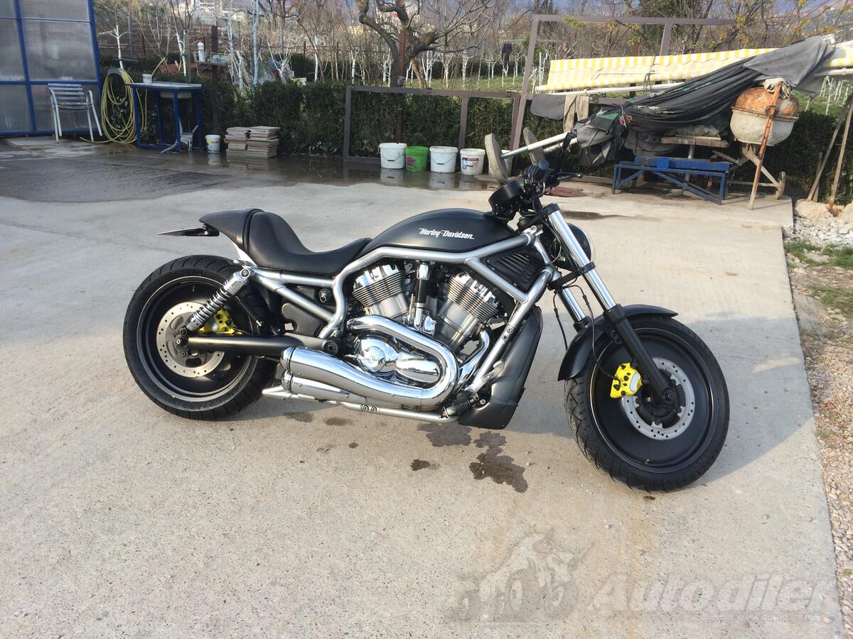 harley davidson v rod chopper