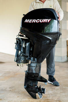 Mercury - 30 KS EFI - Motori za plovila