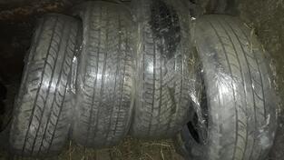 Dunlop - M+S - All-season tire