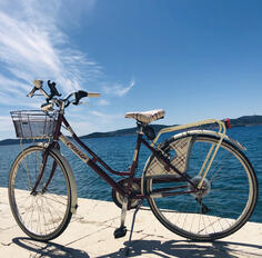 City Bike - Cicli Cinzia
