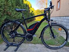 City Bike - Flyer Vollblut