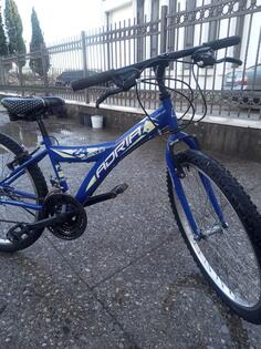 Mongoose - ADRIA 24