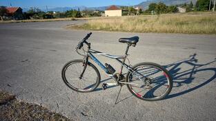 City Bike - Alpina