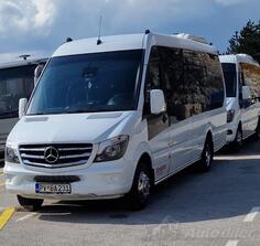 Mercedes Benz - 516