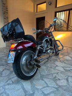 Harley-Davidson - V ROD