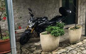 Yamaha - FZ8 Naked Bike