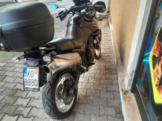 Triumph - tigar