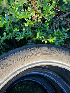 Michelin - 275/45R20 - Zimska guma