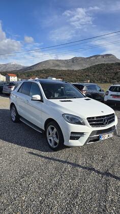 Mercedes Benz - ML 250