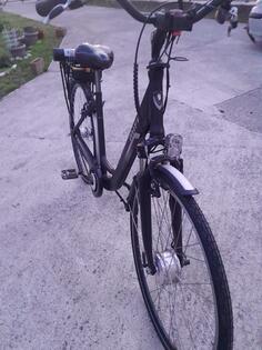 Raleigh - ELEKTRICNO BIC.