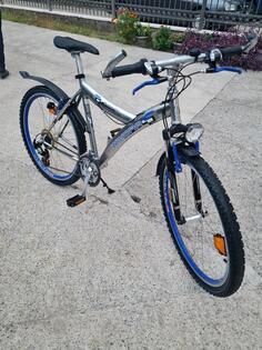 Capriolo - WINORA 26 MTB