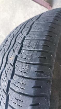 Bridgestone - univerzalna - All-season tire