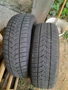 Minerva - Ms auto/dzip - Summer tire