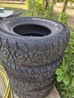 Windforce - Catchforse T11 - Winter tire