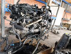 Motor za Automobile - Ford - C-Max    - 2015-2019