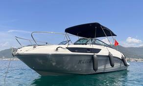 Sea ray - 230