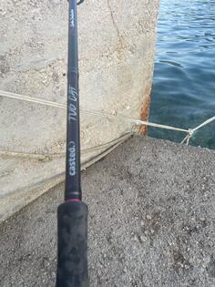 Rod for fishing - Castis