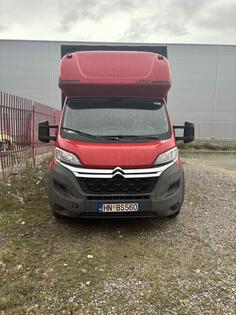 Citroen - Jumper