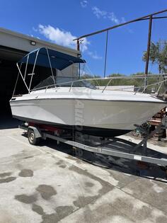 Regal - Regal empress 200