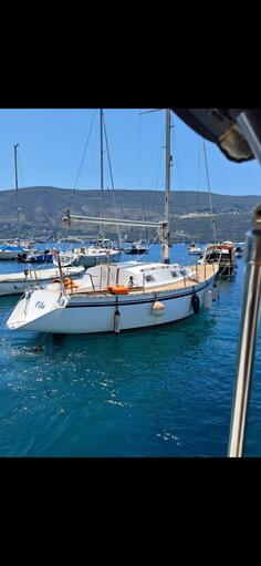 W-class - jedrilica 10m