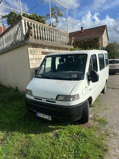 Citroen - Citroen