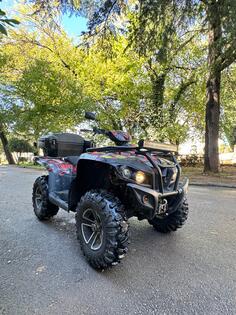 Access - shade 650