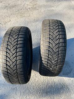 Nexen - winguard sport 2 - Zimska guma