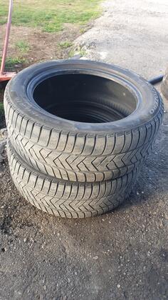 Pirelli - run flet - Zimska guma