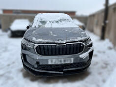 U djelovima Škoda - Kodiaq