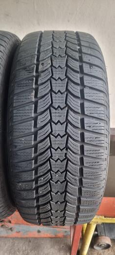 Sava - ESKIMO hp 2 - Zimska guma