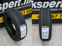 Viking 185/65R15 88T WinTech NewGen Zimska Guma