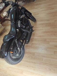 Harley-Davidson - Nightster