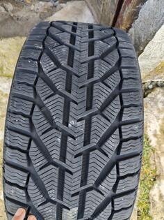 Riken - zimska - Zimska guma