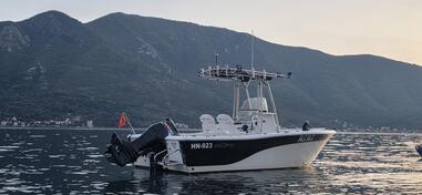 Sea ray - SEA FOX 206 CC