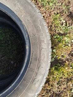 Tigar - h - Zimska guma