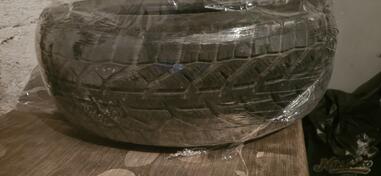 Tigar - winter - Univerzalna guma