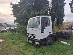 Iveco - cargo