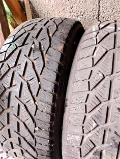 Tigar - Tigar - Zimska guma