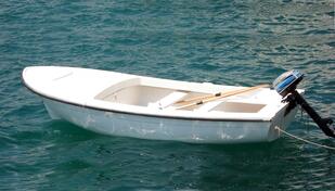 Elan - pasara ili slično