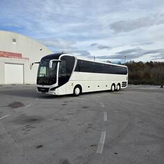 MAN - LIONS COACH R08