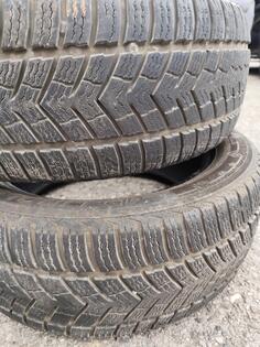 Ling Long - GRIPMASTER - Zimska guma