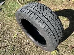 Ovation - W586 - Zimska guma