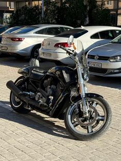Harley-Davidson - VRSCF