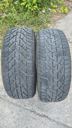 Tigar - winter - Zimska guma