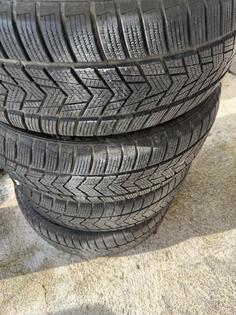 TRACMAX - 225 55 18 - Zimska guma