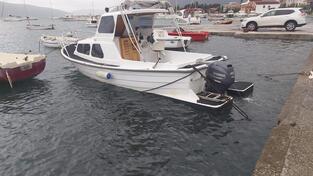 Kvarner - dalmatinka