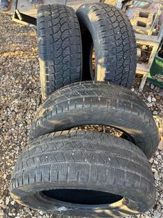 Laufenn - winter - Kış guma