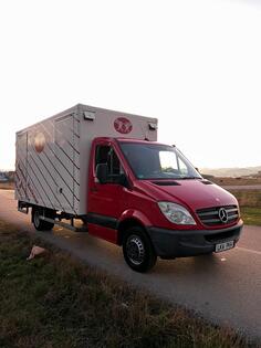 Mercedes Benz - SPRINTER 513 MAXI
