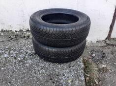 Sava - / - Kış guma