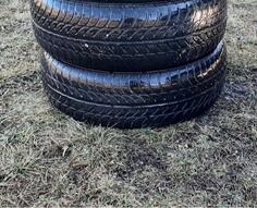 Sava - / - Kış guma